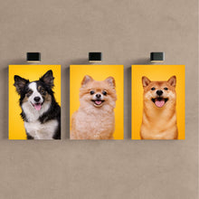 Carregar imagem no visualizador da galeria, 778028ae4e9128e5a520a882d1ba72d9