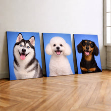 Carregar imagem no visualizador da galeria, 941972c007753103efa76e2240999bdf