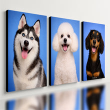 Carregar imagem no visualizador da galeria, 2e3c5bb608e1f0a9ff21b123acfecac4