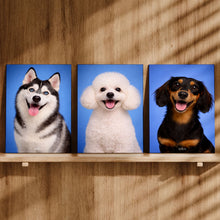 Carregar imagem no visualizador da galeria, d74822b42ed1f2b2e916382169646cb0
