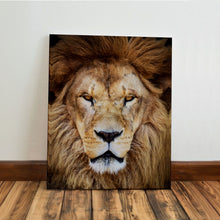 Carregar imagem no visualizador da galeria, 7d8ccb9fffa77c8621de083662253b1f

