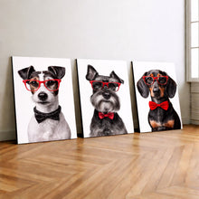 Carregar imagem no visualizador da galeria, 1513c25652d6783e7828ca4f22338676
