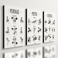Kit 3 Quadro Decorativo Guia de Exercícios Treino Academia Gym Musculação
