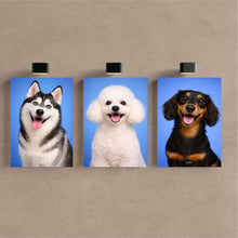 Carregar imagem no visualizador da galeria, 73a104cc4f22f86403d4252ac6a37b47
