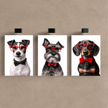 Carregar imagem no visualizador da galeria, cfea3a06d2139bb34044405f3025a460
