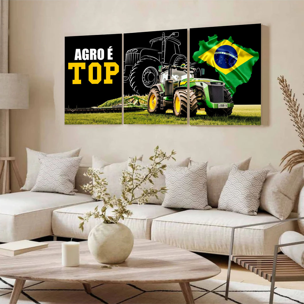 Kit 3 - Quadro Decorativo Agro É Top
