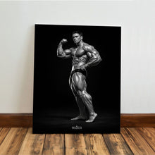 Carregar imagem no visualizador da galeria, 301b36d86d90bd13462cd99ef1ba920d
