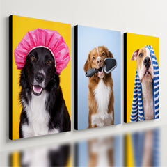 Kit 3 Quadro Decorativo Cachorro Pet Shop Banho Tosa Moderno