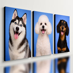 Kit 3 Quadro Decorativo Cachorro Pet Shop Moderno Azul Luxo